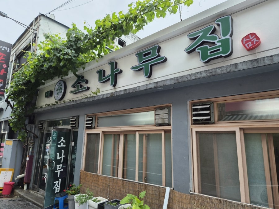 소나무집 사진 1