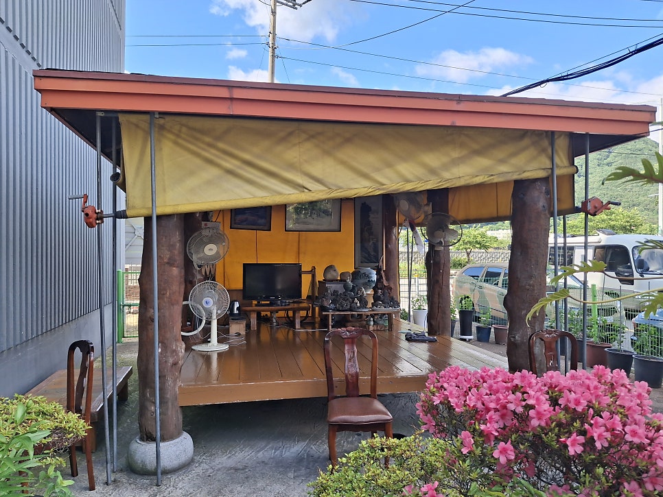 우산 사진 6