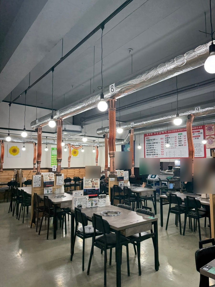 두구동부산갈매기 사진 5
