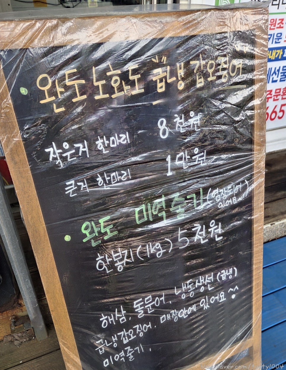 하블리네참전복 사진 4