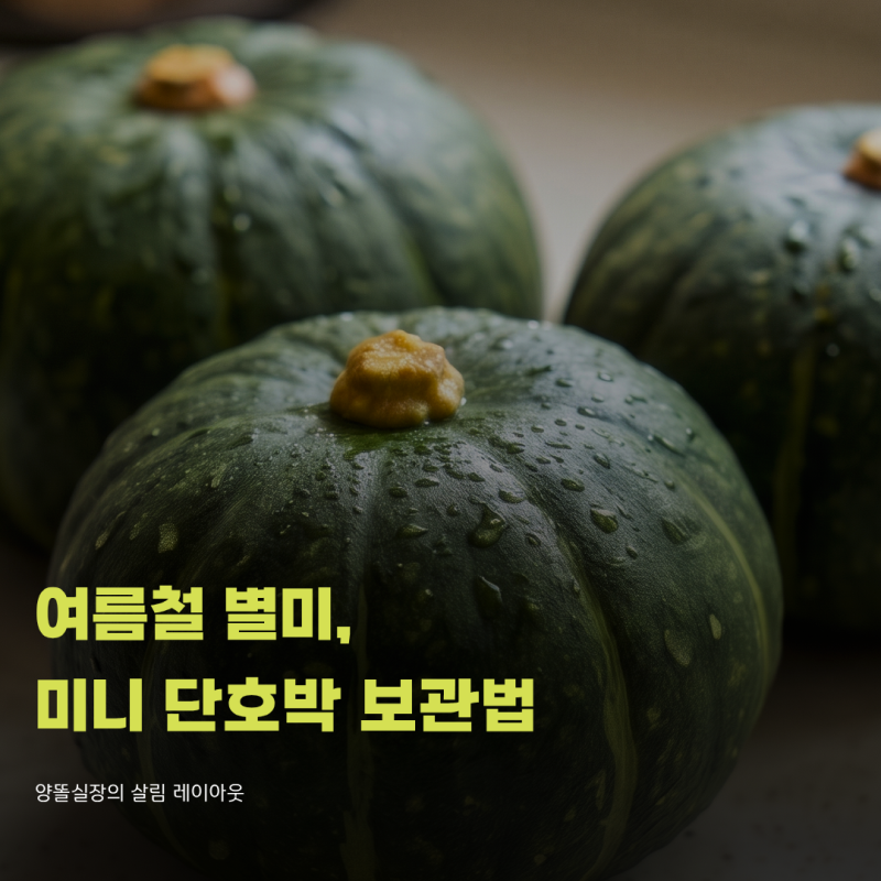 여름철 별미, 미니 단호박 보관법 이것만 알면 1인 가구도 썩혀 버릴 일 없어요