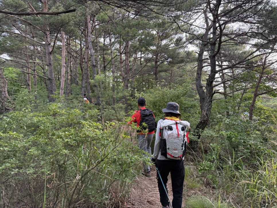 백암산 사진 5