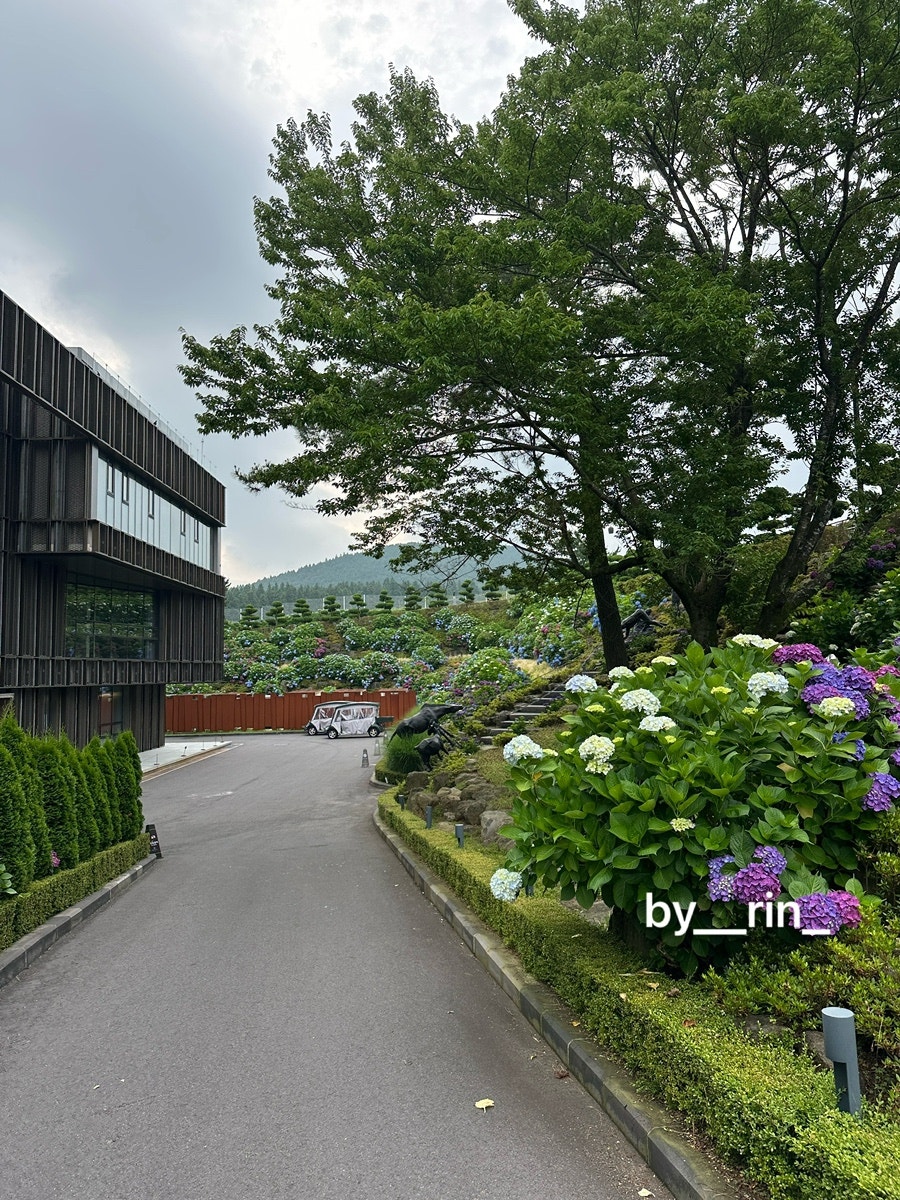 할매고등어쌈밥 함덕본점 사진 6