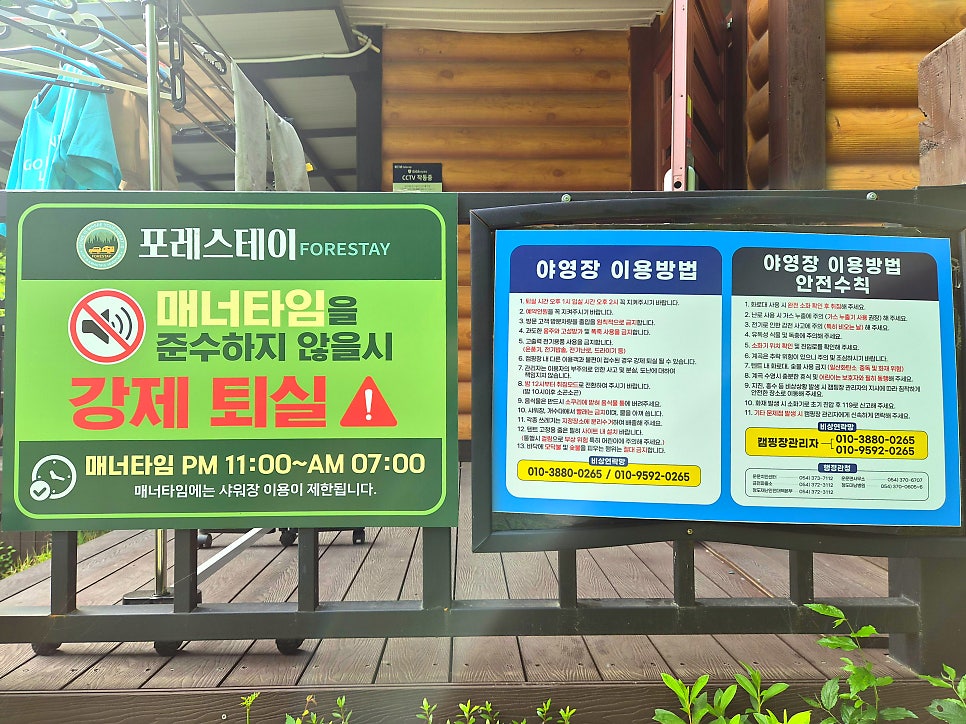 포레스테이 사진 6