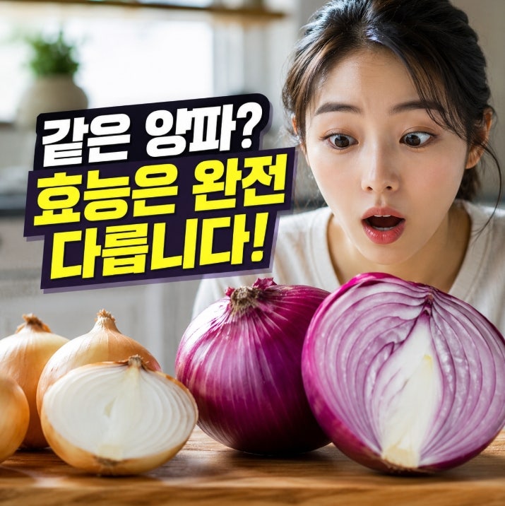 그냥 색깔만 예쁜 줄 알았는데, 자색양파 효능이 일반 양파랑 이렇게 달랐습니다
