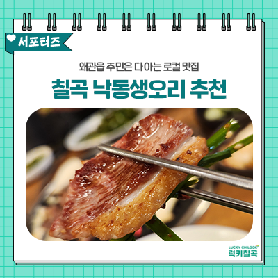 낙동생오리 사진 1