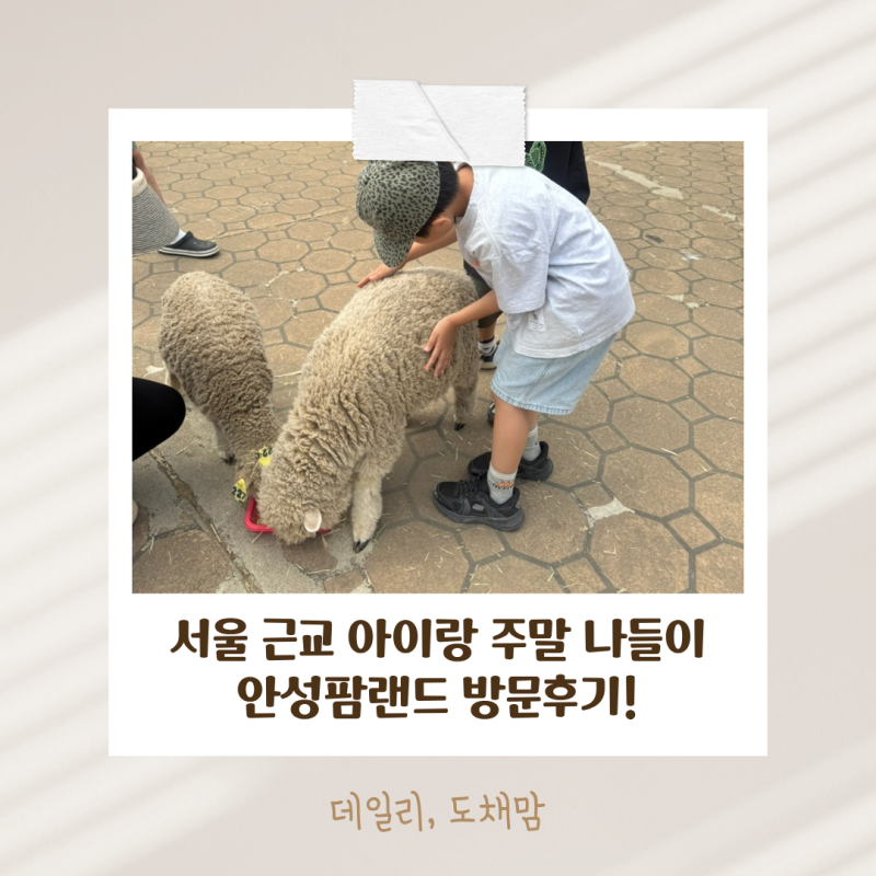 서울 근교 아이랑 주말 나들이 동물 체험부터 다양한 즐길거리까지 안성팜랜드 방문후기!
