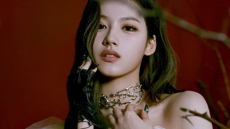 사나, 모두가 놀란 최근 근황…데뷔 11년 만에 뜻밖의 도전 , 트와이스 사나, 11년 만에 전해진....