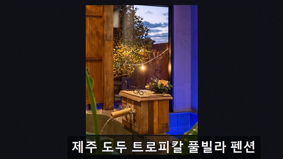 도두트로피칼 사진 2