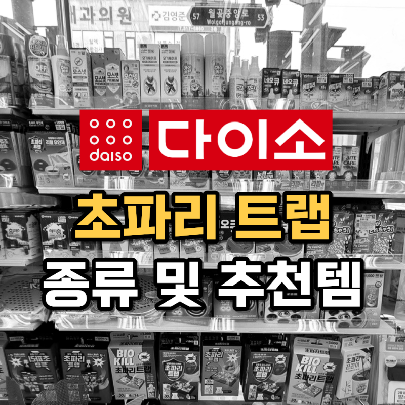 다이소 초파리트랩, 종류 및 추천템은? 실제로 효과 있을까