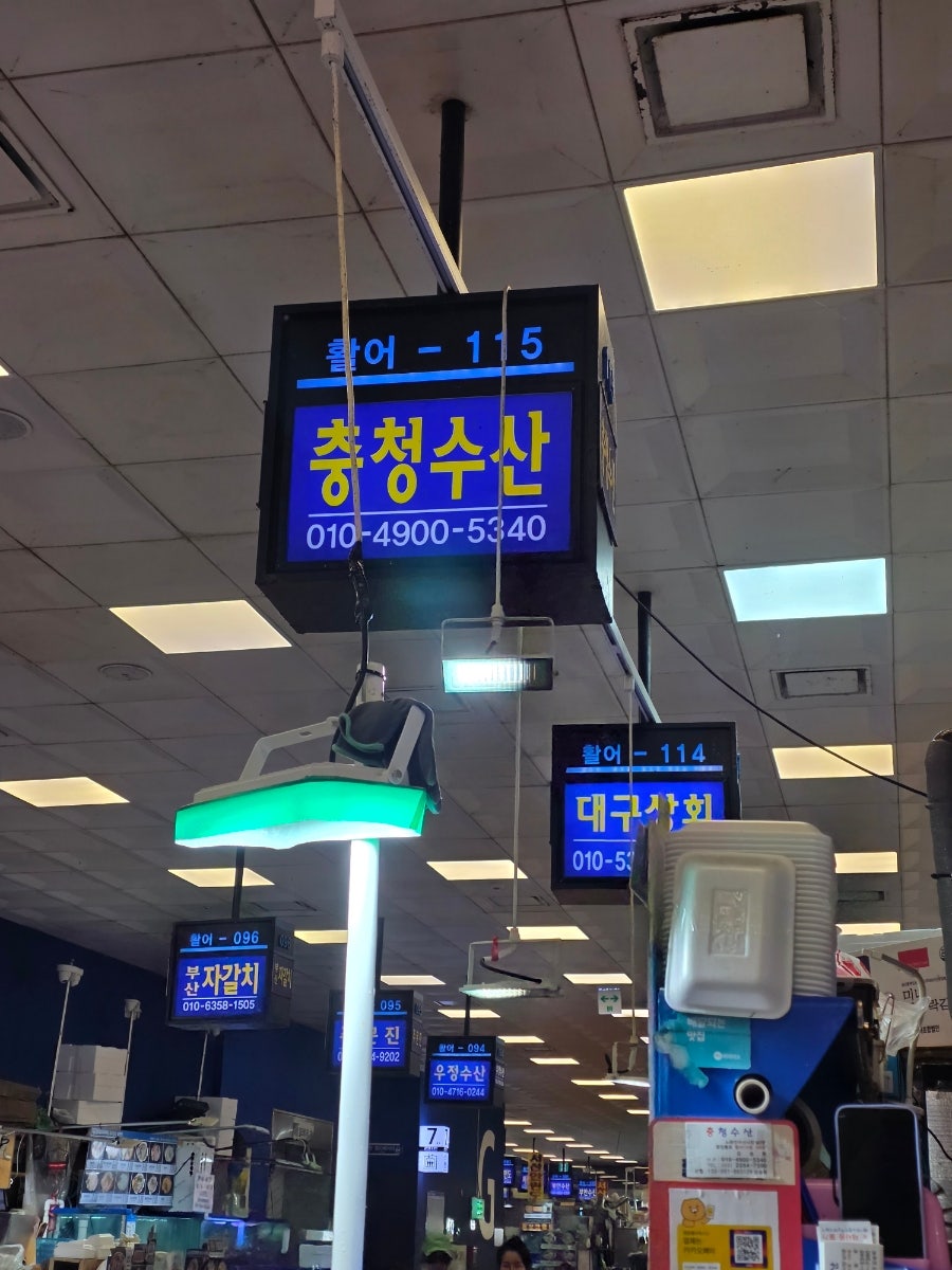 청해진 사진 2