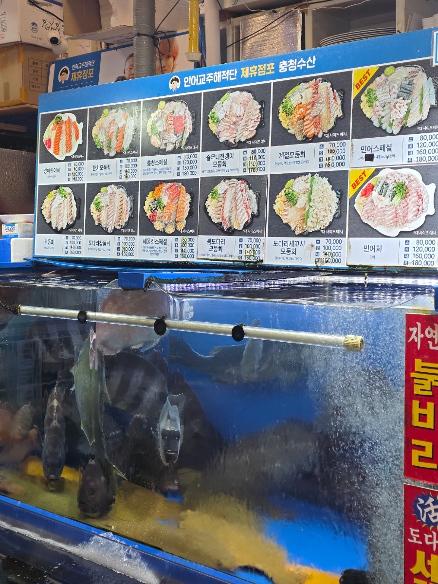 청해진 사진 5