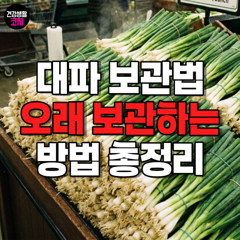 대파 보관법, 가장 오래가는 방법은?냉장 냉동 총정리