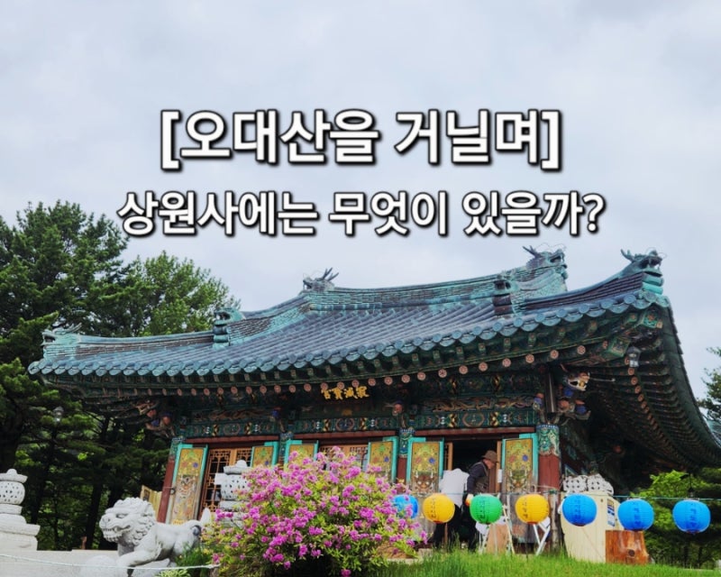 [ 오대산을 거닐며 ] 평창 상원사에는 무엇이 있을까? 꼭 봐야 할 역사와 풍경 정리