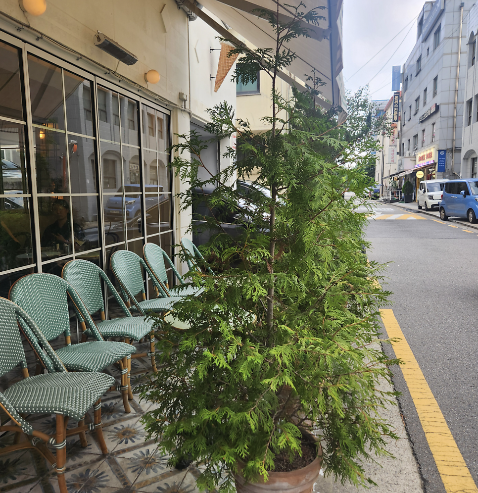 담금 사진 3