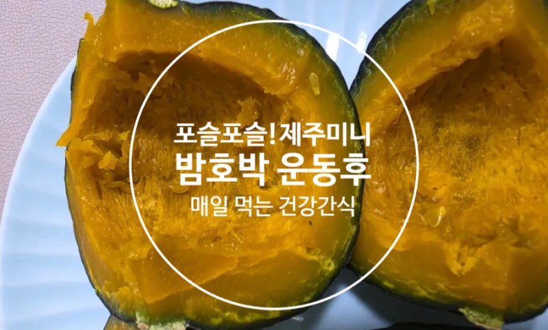 제주 미니밤호박 효능 7가지｜칼로리·혈당·다이어트·먹는법까지 직접 먹어본 후기