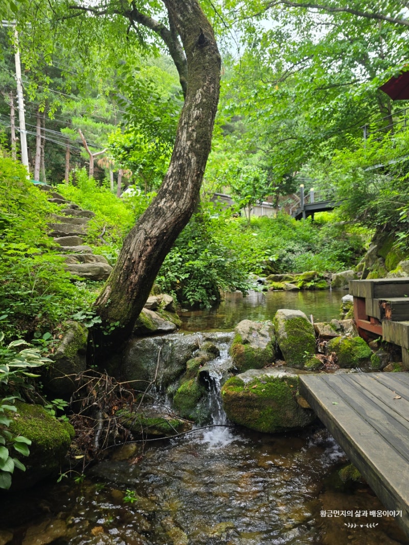 청평자연휴양림 입장료, 추천 산책코스, 계곡 발담그는 위치, 냄비받침 만들기 후기