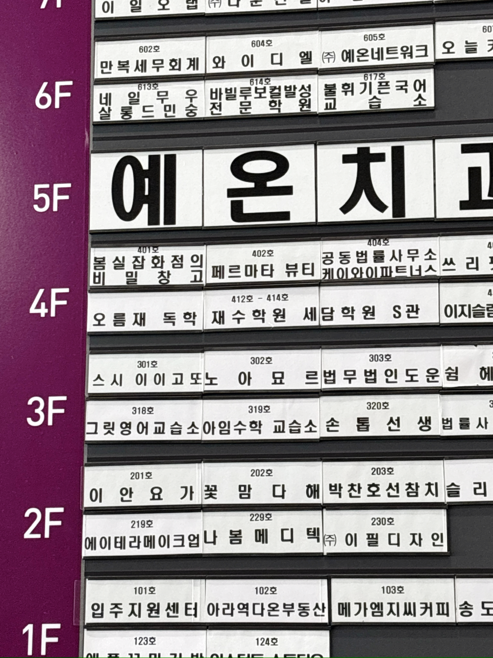 페르마타 사진 3
