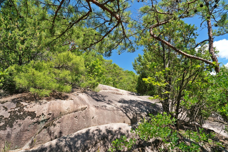 작은동산 사진 4