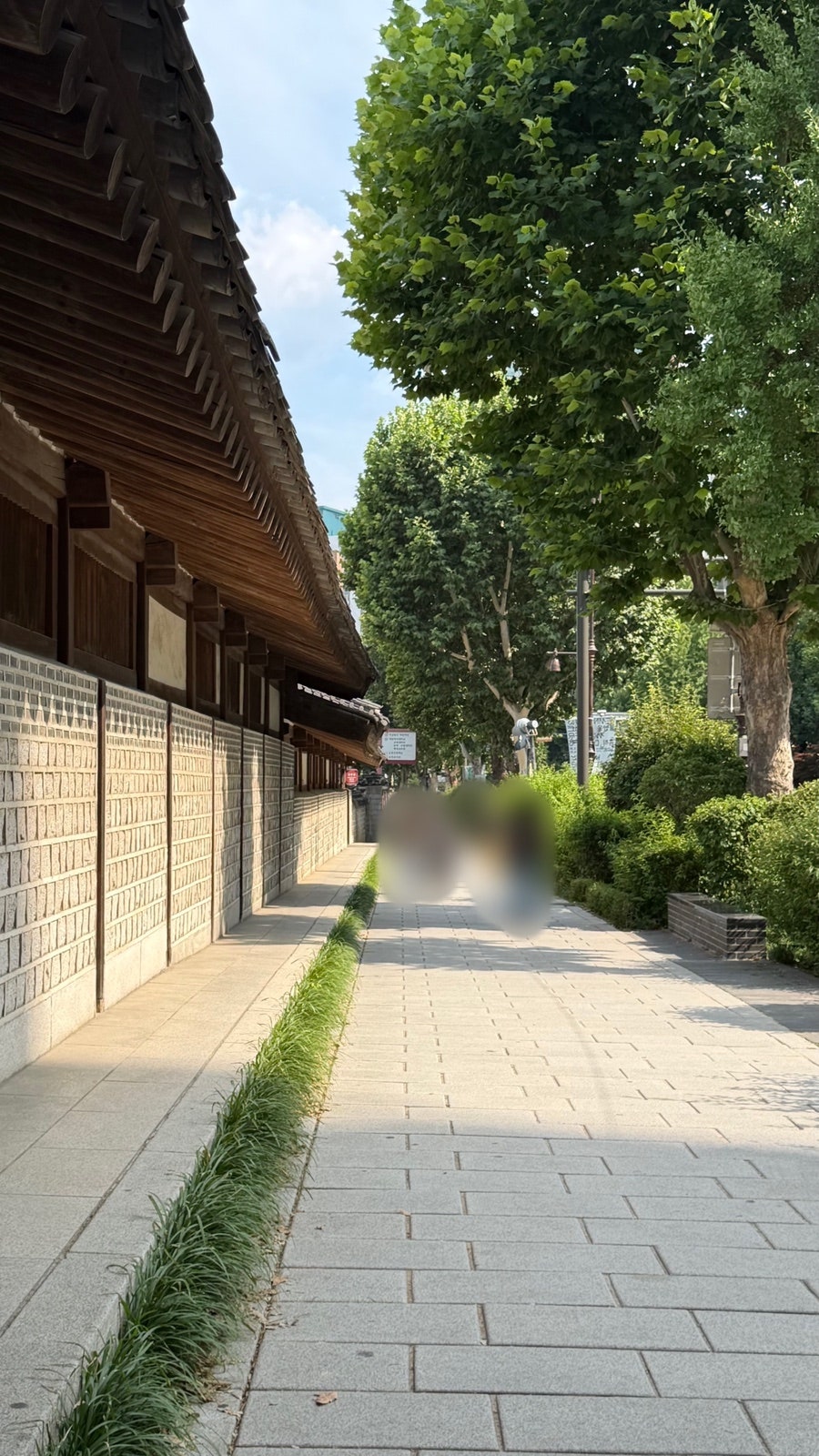 데비스 사진 3