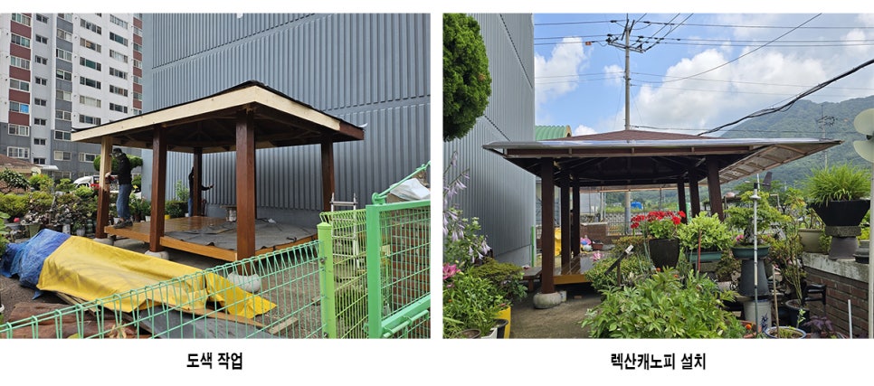 우산 사진 4