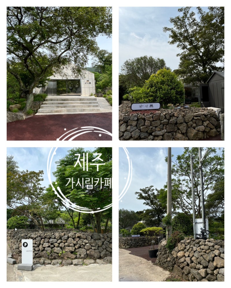 제주 한적하고 제주스러운 가시림 카폐