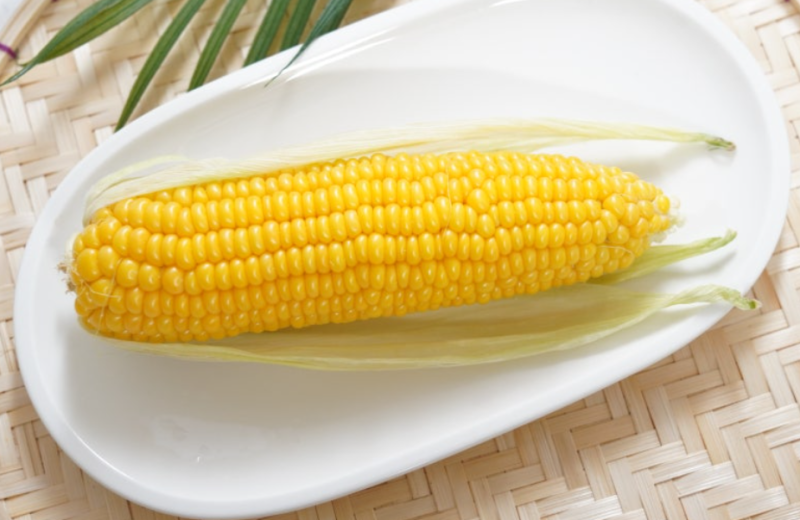 다이어트 중 옥수수 먹어도 될까? 옥수수 효능과 당뇨 영향