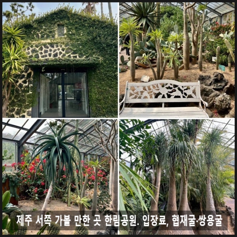 Jeju Hallim Park: Complete Guide to Attractions, Admission, Caves, and Photo Zones
