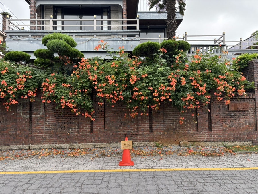 잇츠마빈 사진 3