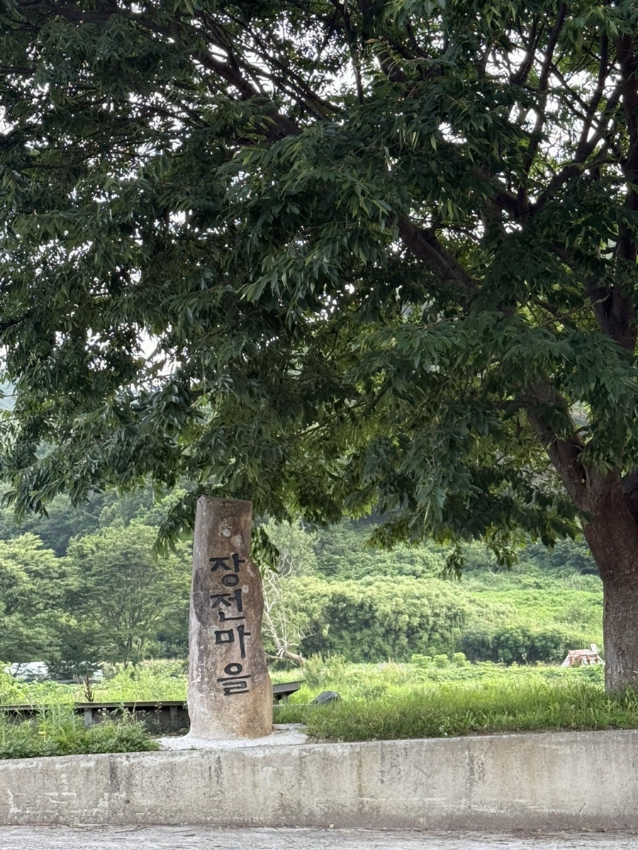 철마뚜레집 사진 3