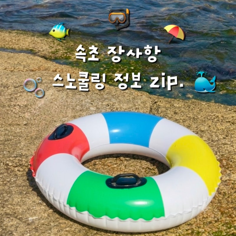 강원도 속초 스노쿨링 스팟 “장사항 총정리” 주차 샤워장 파라솔 대여