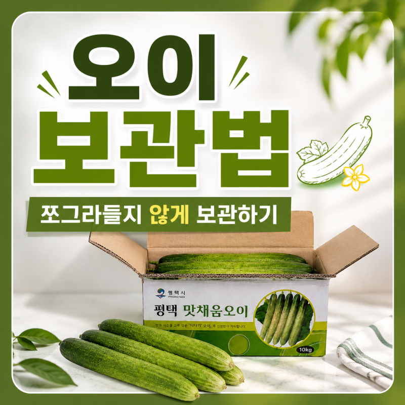 오이 보관법, 백오이 쪼그라들지 않게 보관한 방법