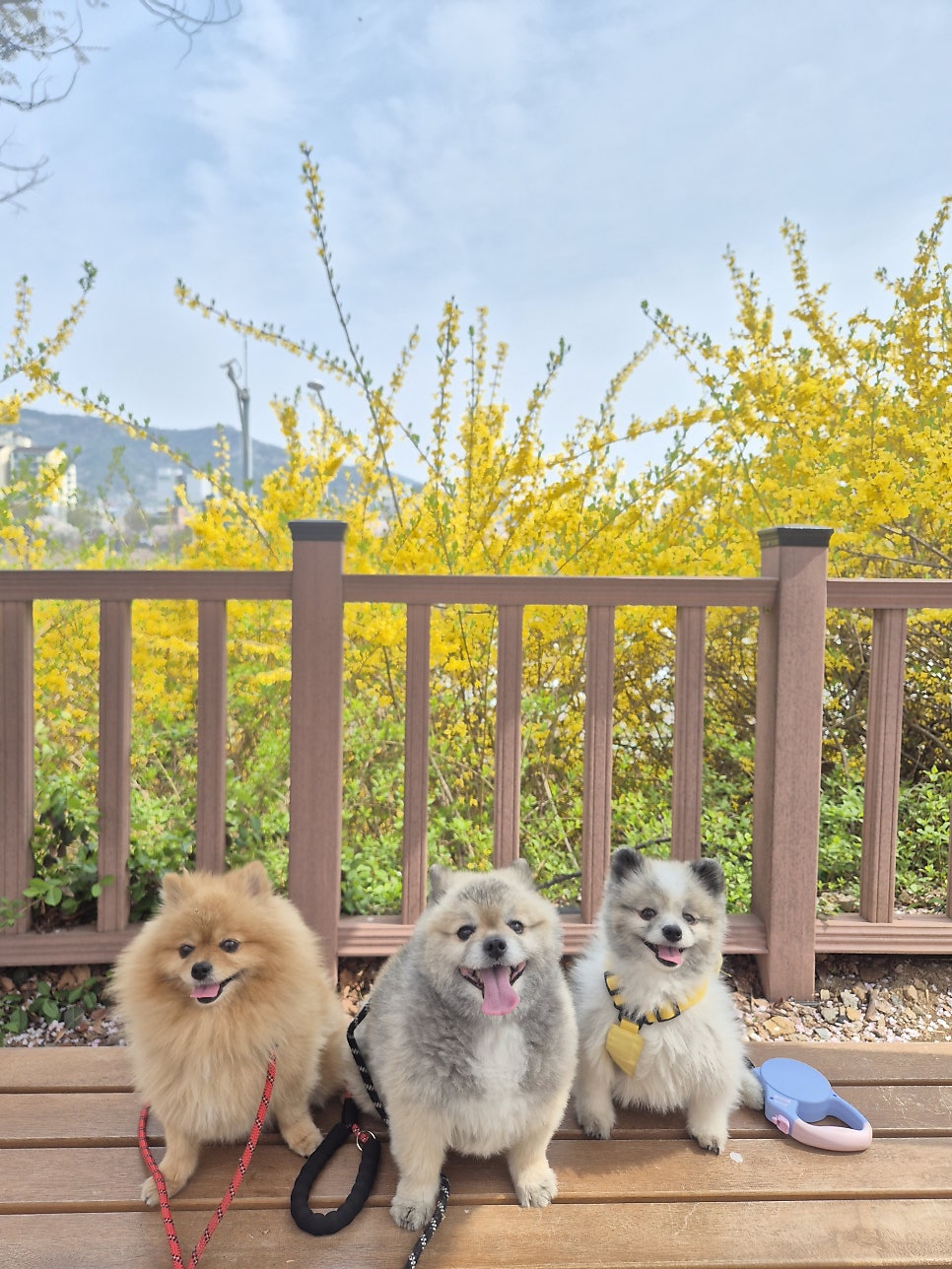 용마쉼터 사진 1