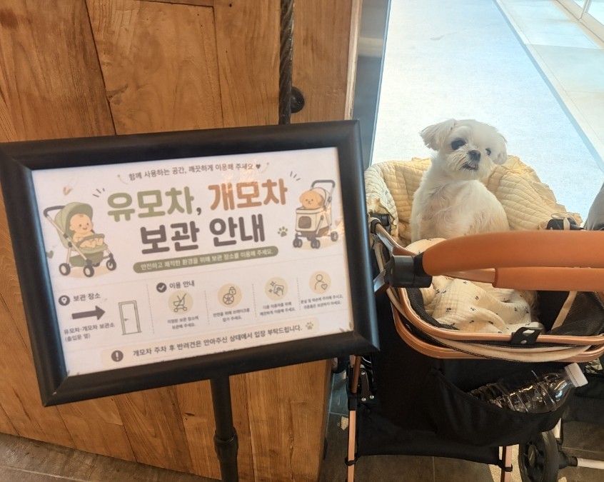달마시안 스타필드 수원점 사진 6