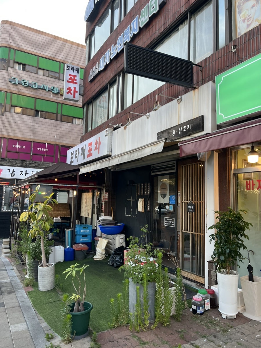 산호키 사진 1