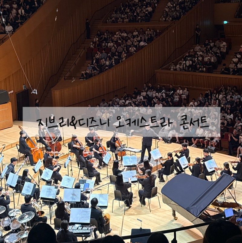 Lotte Concert Hall Ghibli OST Concerts: Seat Views, Ticket Tips, and Parking