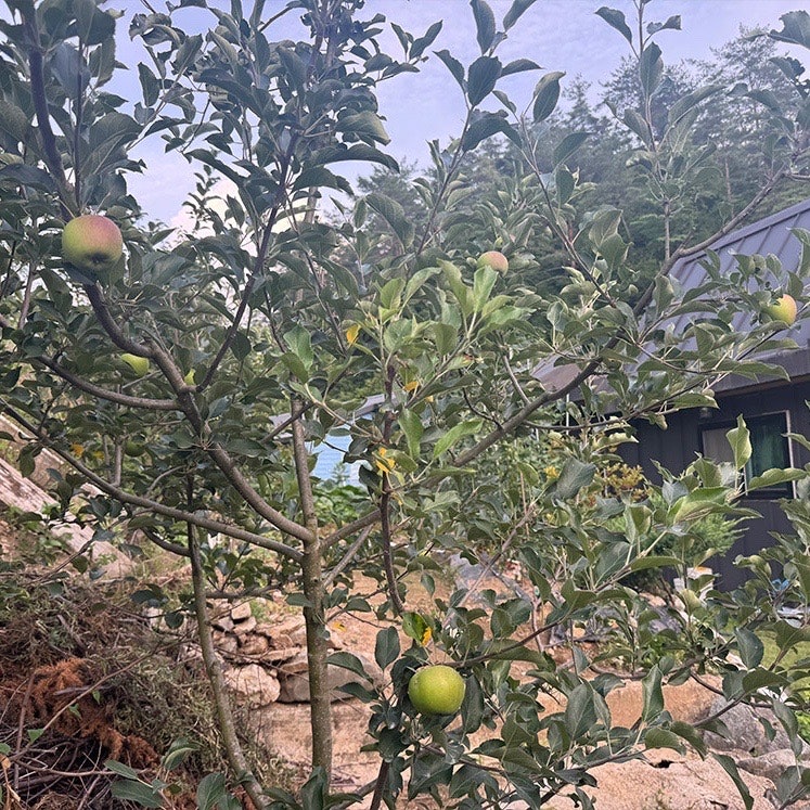 청송해달별펜션 사진 5