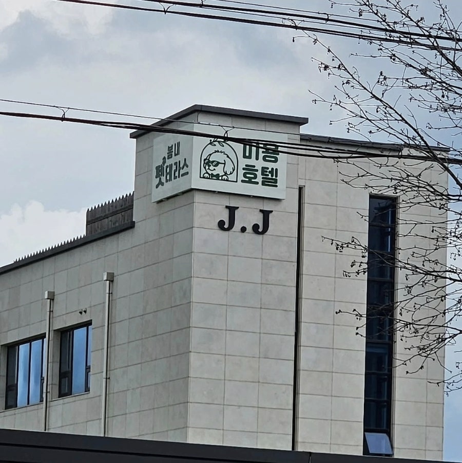 구봉산카페쉼터 사진 5