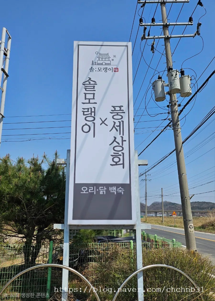 솔모랭이 사진 1