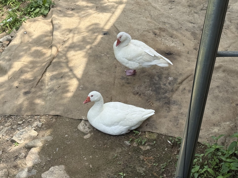 장어촌 사진 6