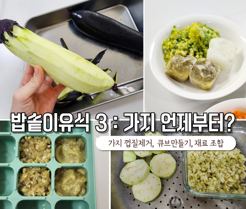 후기 밥솥 이유식 3 : 소고기 가지 레시피 (가지 손질, 껍질 제거, 큐브 만들기, 재료 조합)