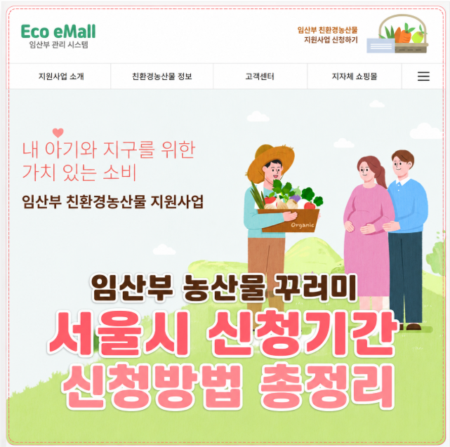 2026 임산부 친환경 농산물 꾸러미 지원사업 서울시 신청기간 총정리(+전북·경북·제주)