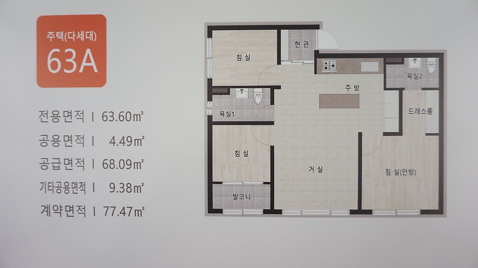 지안 사진 4