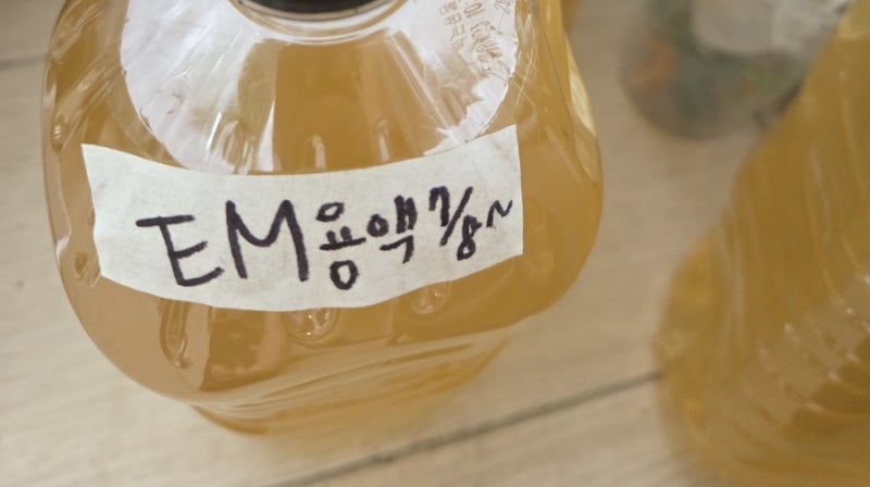 주민센터에서 받아온 "의 효과"
