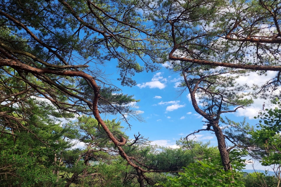 작은동산 사진 3