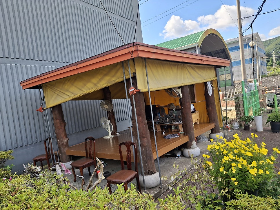 우산 사진 5