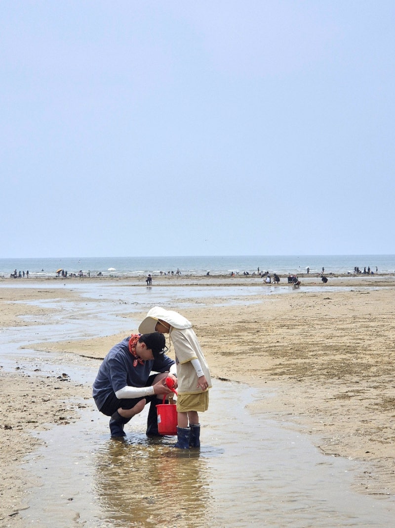 泰安南面安眠島チョンポデ海水浴場 干潟体験 ヘルジル道具レンタル可能なザ・モストペンション