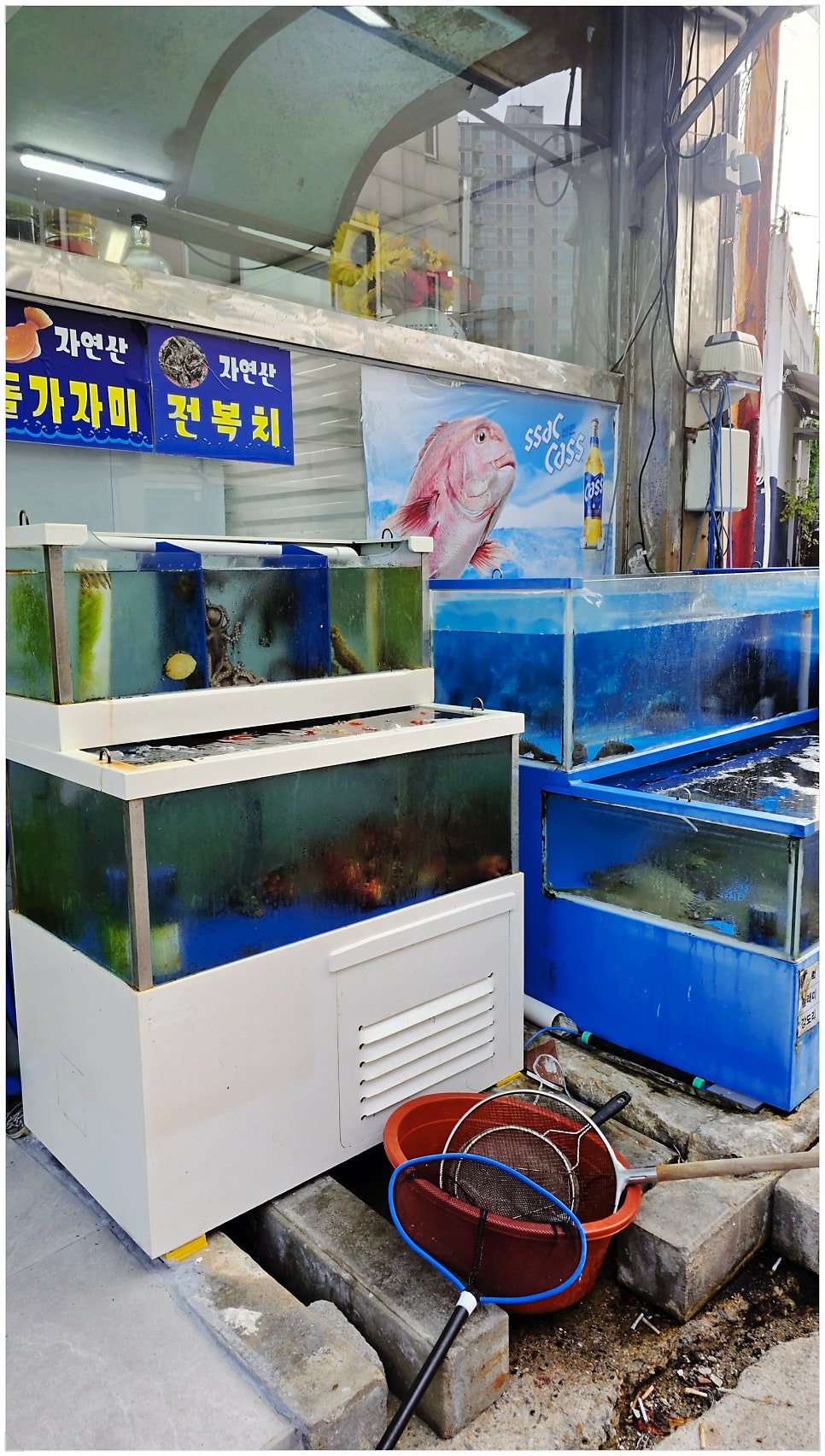 가락회수산 사진 4