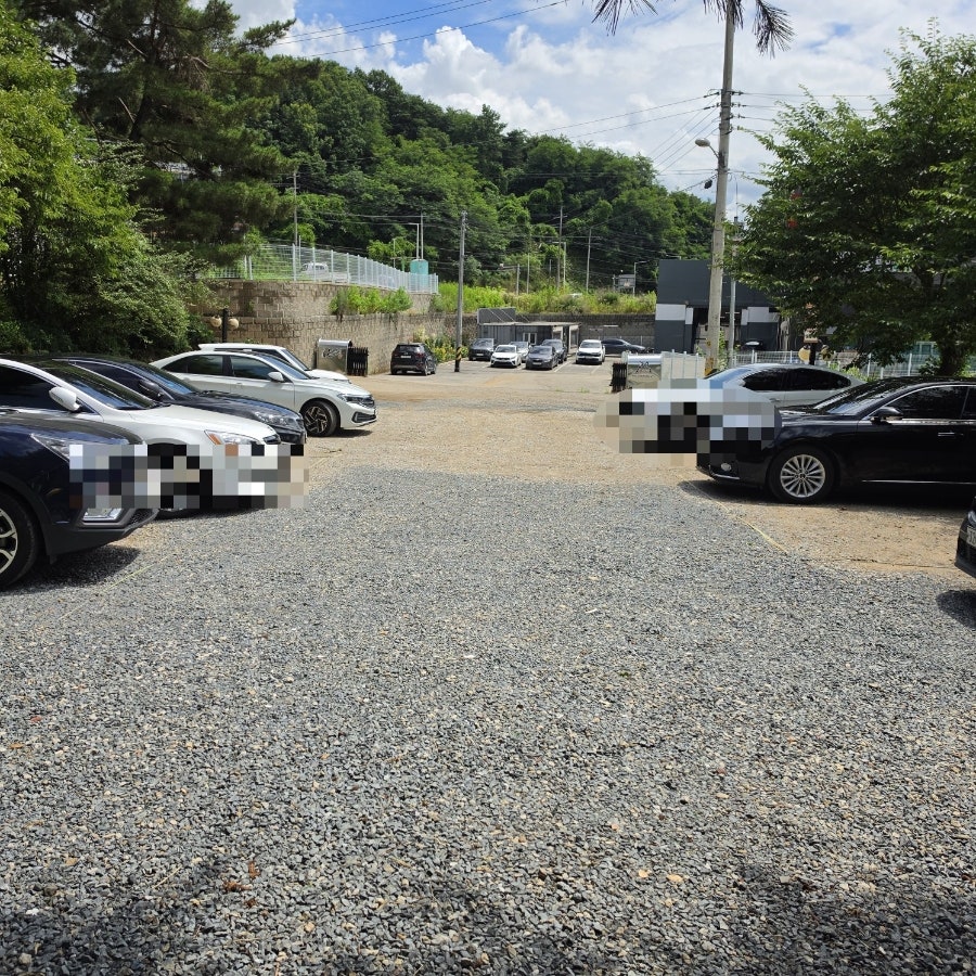 소담 사진 3