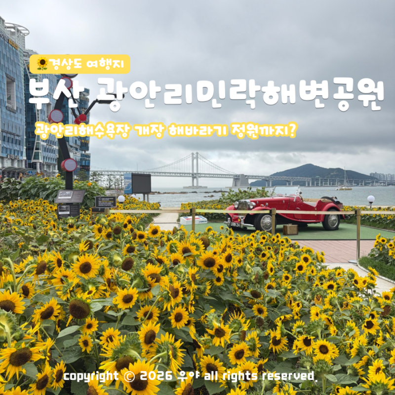 부산 바다뷰 민락해변공원 해바라기 광안리해수욕장 개장 주차장 위치는?